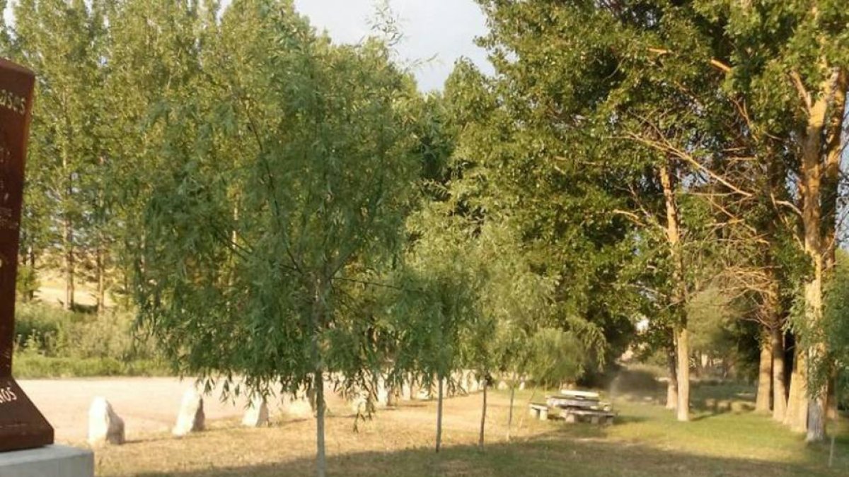 A los árboles ya plantados se irán sumando más e incluso unas mesas.-ECB