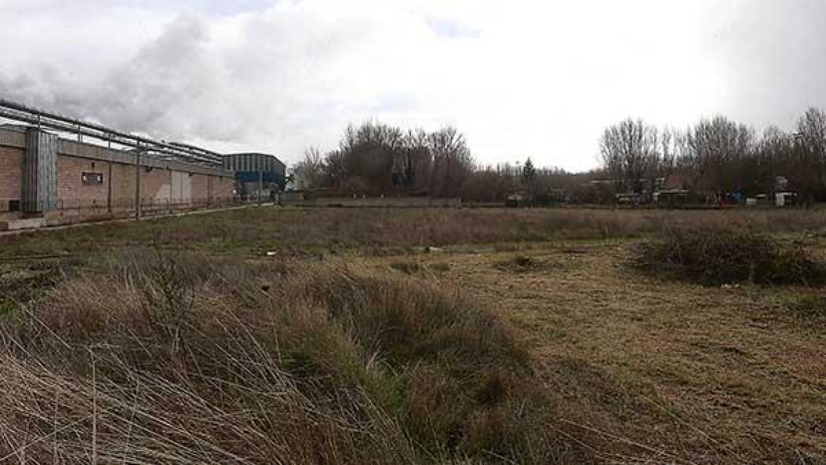 Vista general del terreno ubicado entre la fábrica de Kronospan y la AP-1 en el que se ubican el yacimiento El Millar y otras áreas ricas en vestigios.-RAÚL G. OCHOA