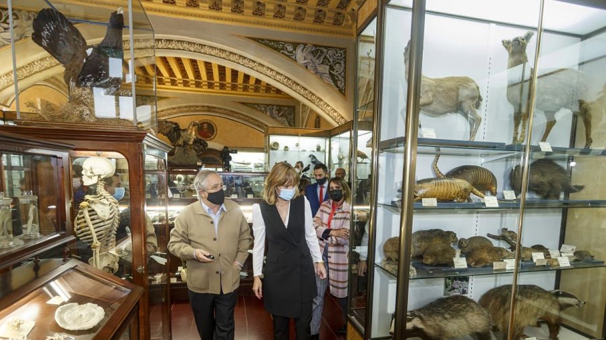 La ministra de Educación, Pilar Alegria, en el Museo de Historia Natural del IES López de Mendoza. SANTI OTERO