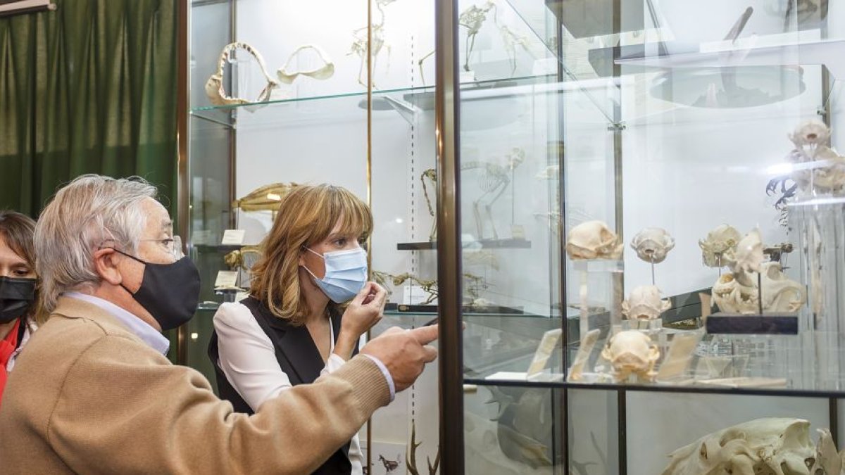 La ministra de Educación, Pilar Alegría, visita el Museo de Ciencias Naturales del IES López de Mendoza. SANTI OTERO