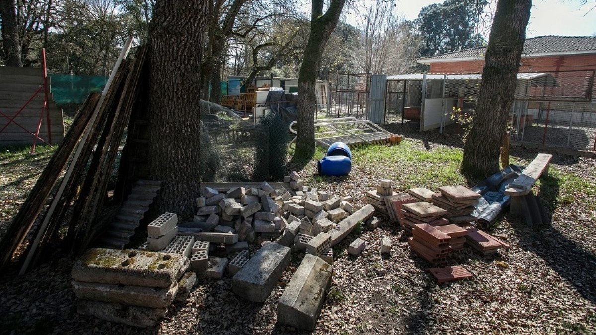 El GREM ha tenido que improvisar un nuevo espacio para su canes por las obras de la perrera municipal. TOMÁS ALONSO