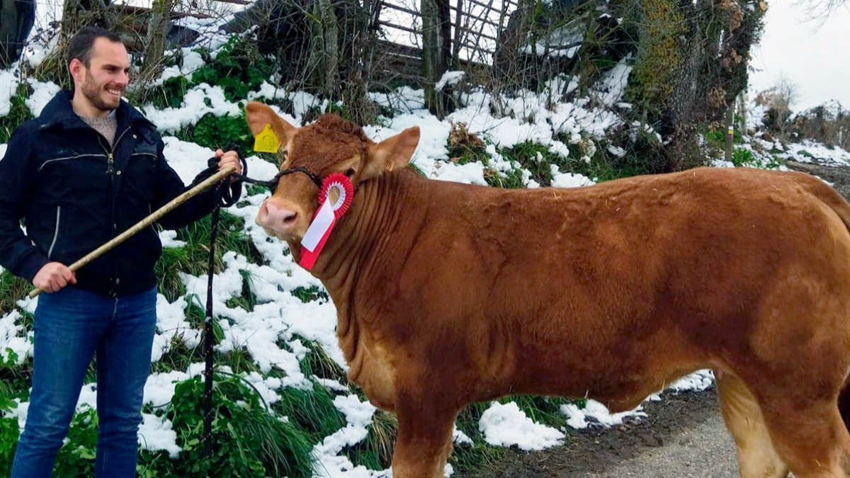 Aitor Sainz Maza, de la Granja el Arenón, junto a uno de sus ejemplares de raza limusina en Quisicedo de Sotoscueva (Burgos). ECB