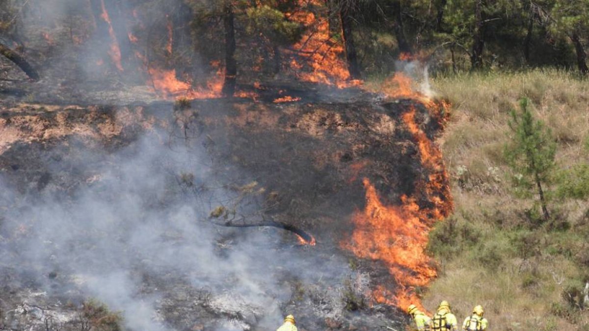 La acumulación de restos vegetales en el suelo del monte aumentó el riesgo para los efectivos de extinción.-G. G.