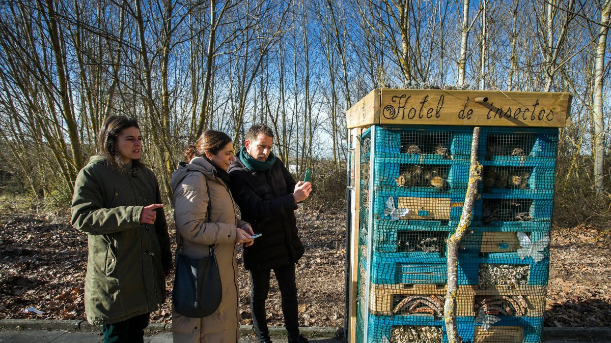 Uno de los hoteles de insectos, junto al parque infantil y las pistas deportivas de Parralillos. TOMÁS ALONSO