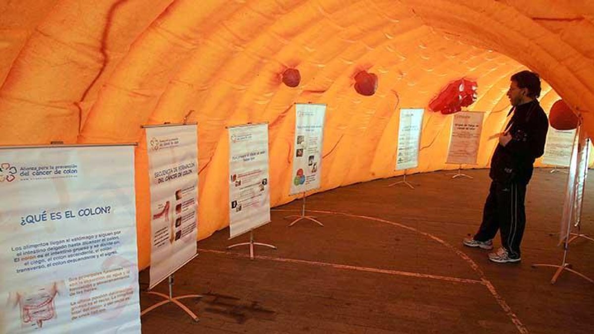 Las asociaciones contra el cáncer desarrollan diferentes iniciativas para promover la realización de las pruebas, como esta exposición que simula un colon.-ICAL