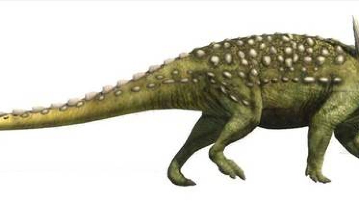Reconstrucción artística de 'Struthiosaurius'.-