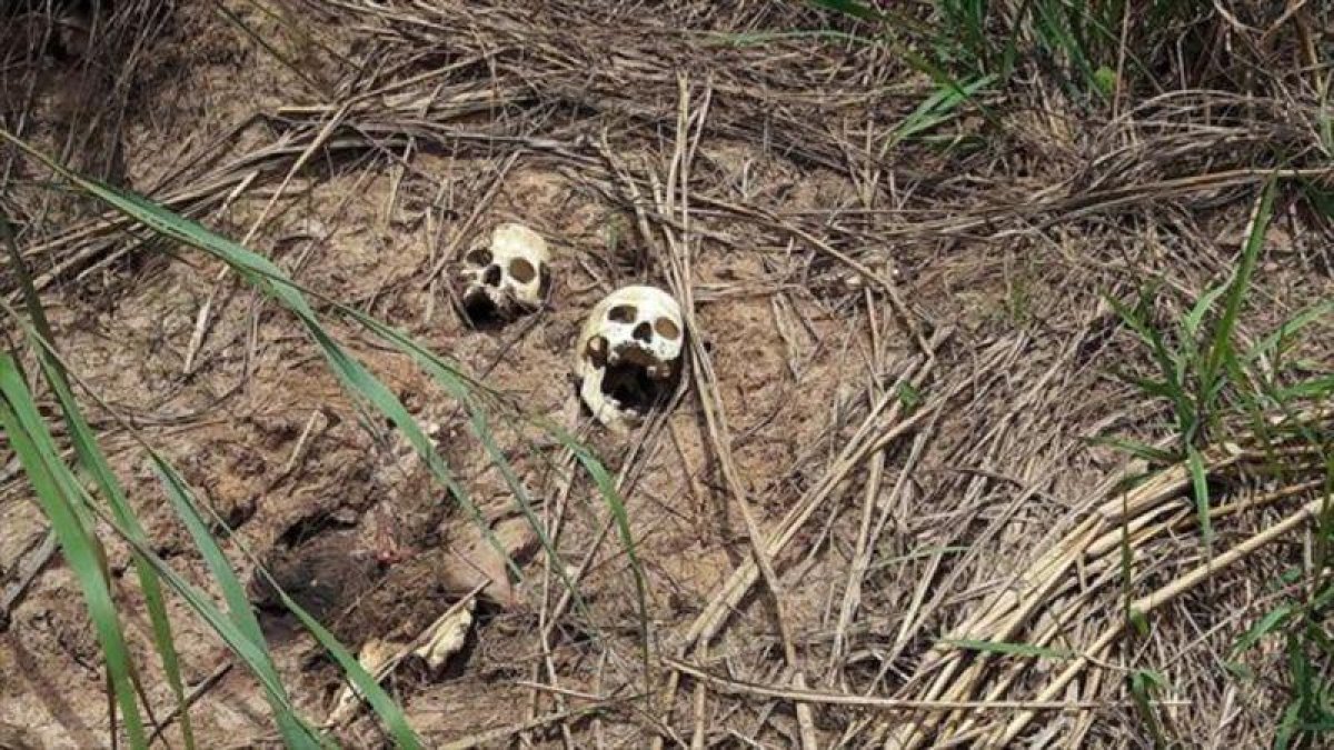 En 2018, hubo más de 33.000 asesinatos en el país, la mayoría de los cuales estaban relacionados con el crimen organizado.-REUTERS
