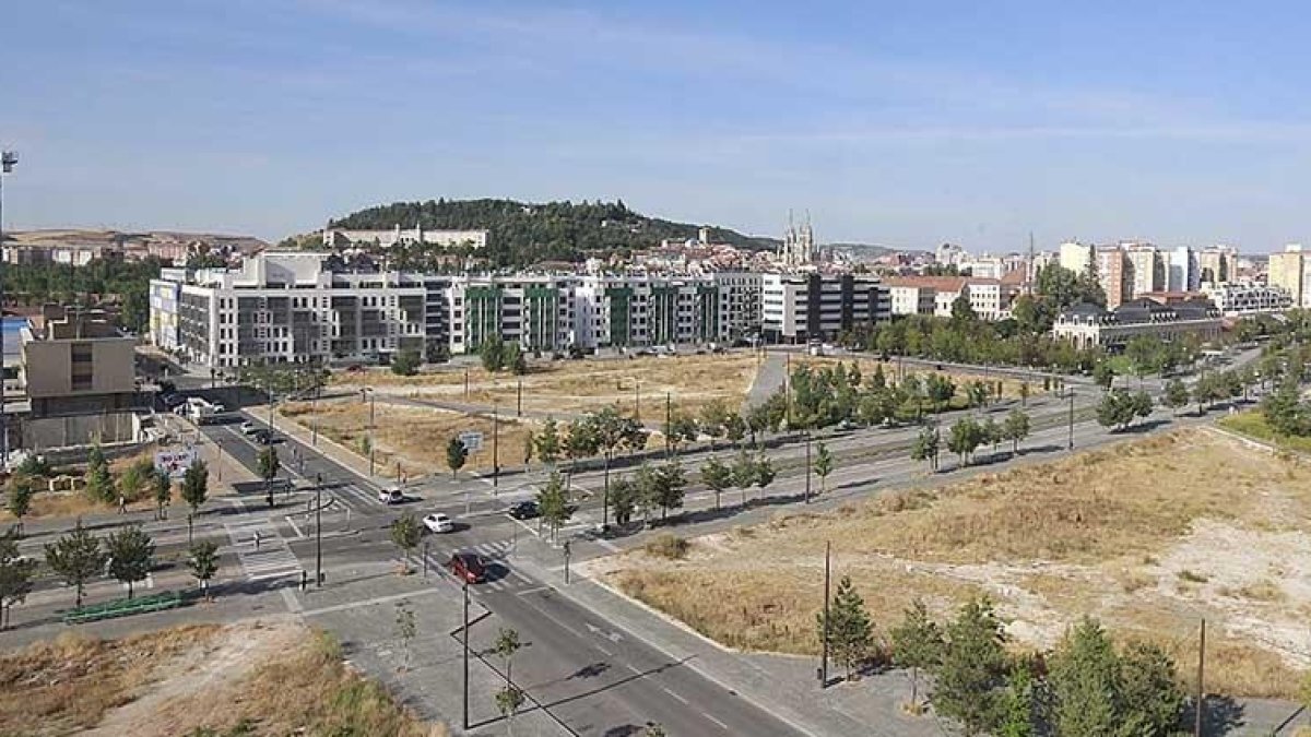 Vista general de algunas parcelas del consorcio del Desvío. ECB