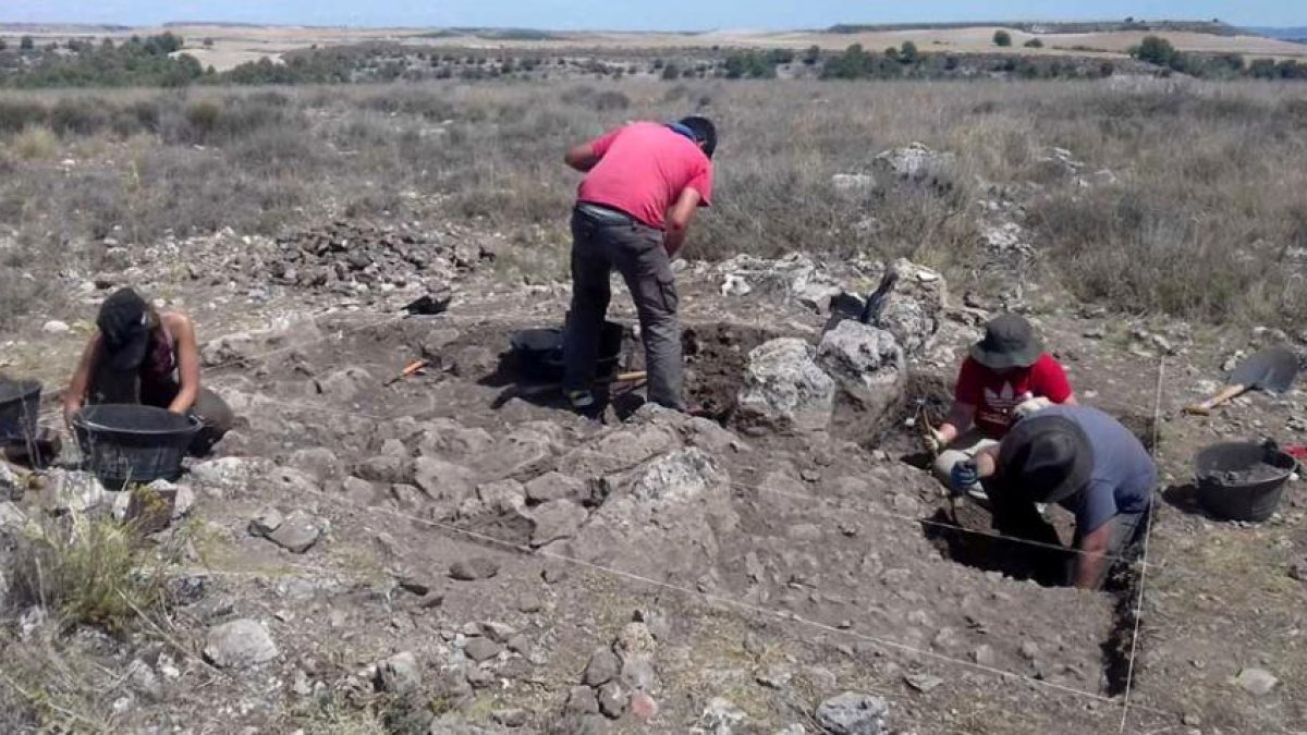 La campaña se ha desarrollado en Peñafiel este verano.-UBU