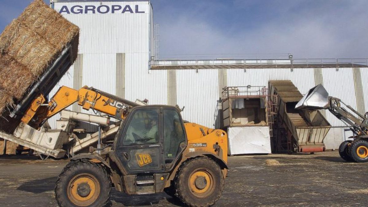 Varios trabajadores en las instalaciones de transformación de paja y alfalfa de la cooperativa Agropal, en la localidad palentina de Villoldo .-ICAL