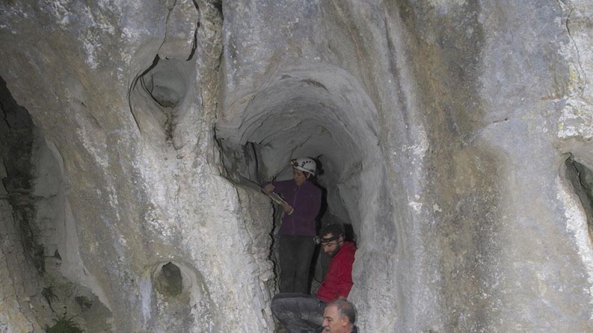 Los investigadores continuaráncon los trabajos del pasado año.-ECB