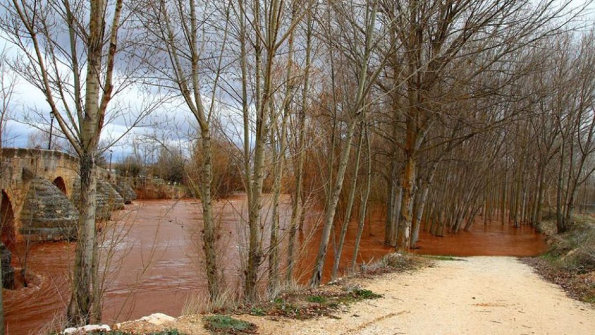 El río ha comenzado a invadir el camino que separa el río de la zona docente, cuyo vallado puede verse a la derecha de la imagen, a pocos metros del agua.-P. A.