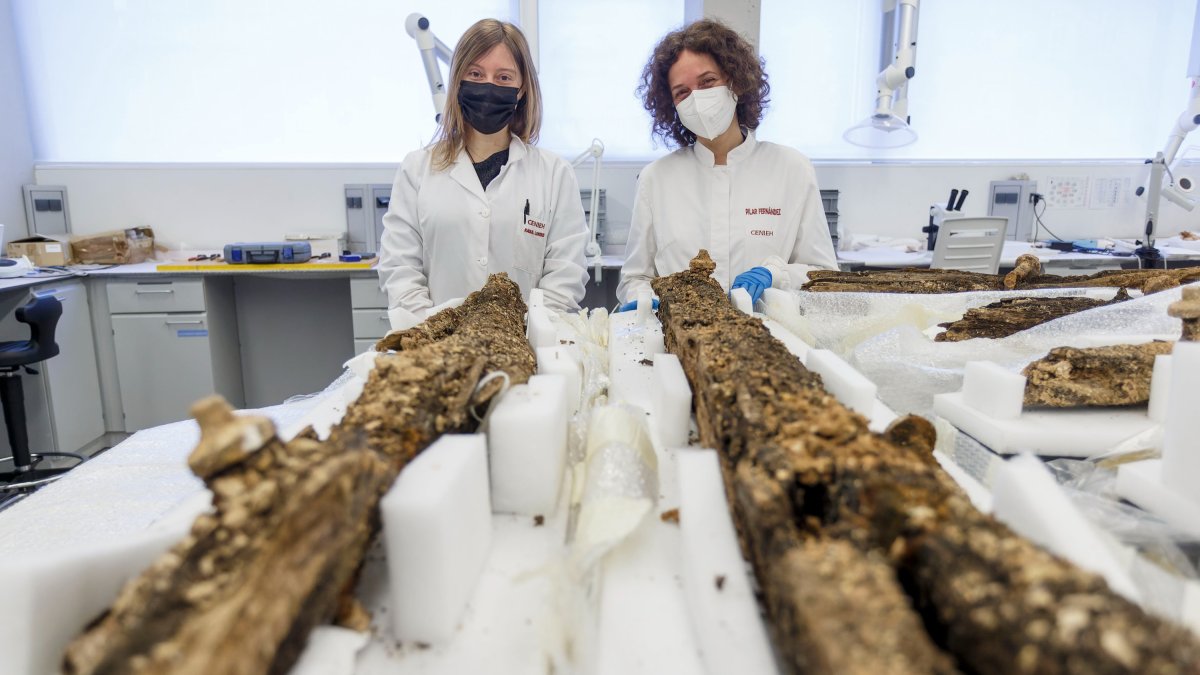 El equipo de restauración del Cenieh (Raquel Lorenzo y Pilar Fernández) ante las traviesas de la Trinchera del Ferrocarril que tratan de conservar. SANTI OTERO