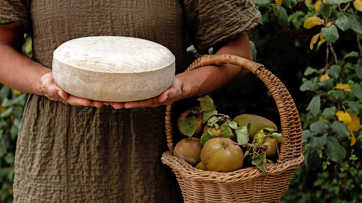 Queso semicurado Santa Gadea, una pieza de pasta prensada con leche ecológica pasteurizada de cabra de 3 kilos. E. M.
