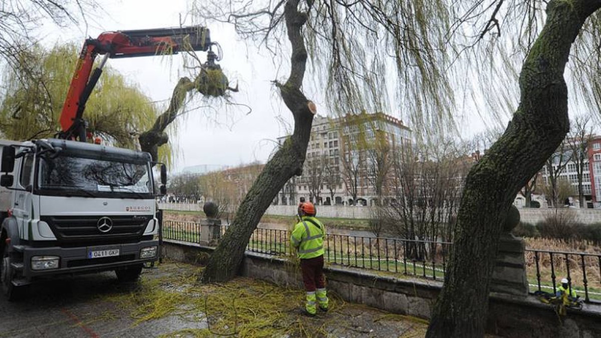 Un camión equipado con grúa recoge algunas de las ramas que se comenzaron a cortar a primera hora de la mañana.-ISRAEL L. MURILLO