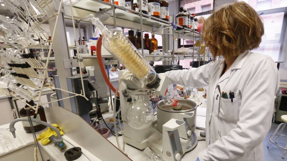 Una investigadora trabaja en uno de los laboratorios de la Facultad de Ciencias de la UBU.