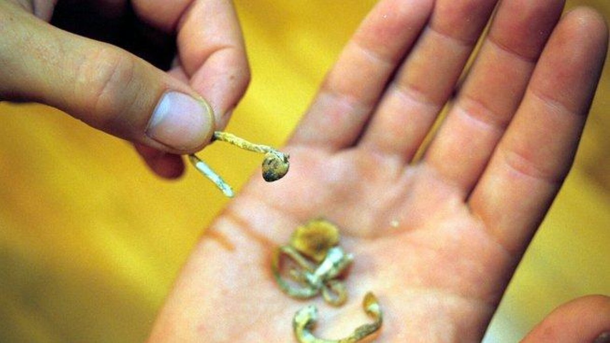 Con esa designación, tanmbién se permite el estudio de los hongos psilocibios con propósitos médicos, algo que alguna vez era tabú ante los ojos del público en general.-EL PERIÓDICO