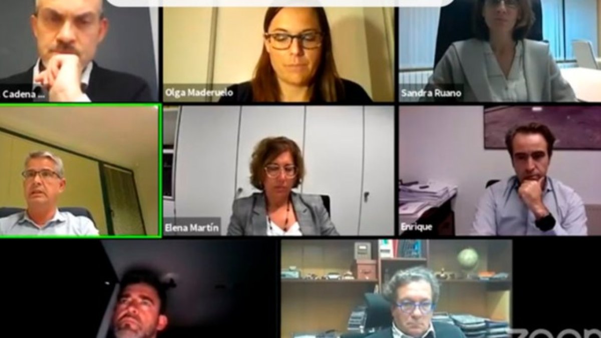 La jornada se desarrolló por vídeoconferencia.