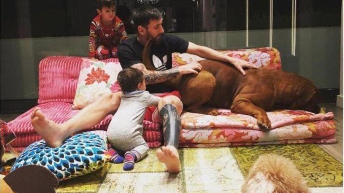 Messi, rodeado de sus hijos y sus perros en casa.-