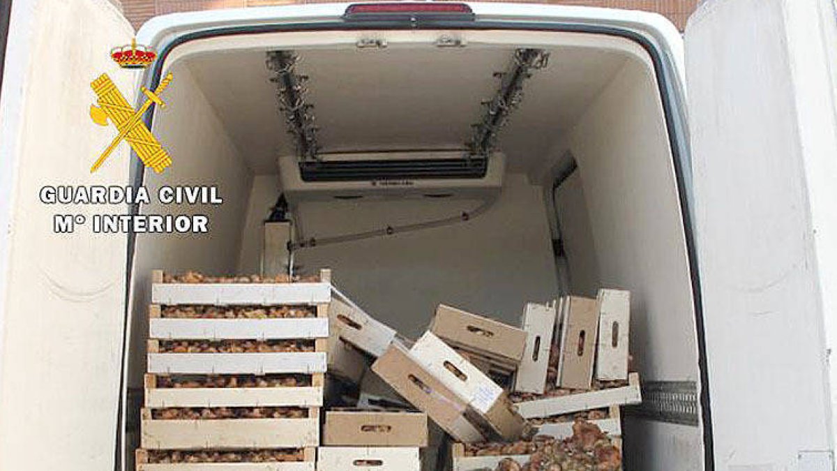 -