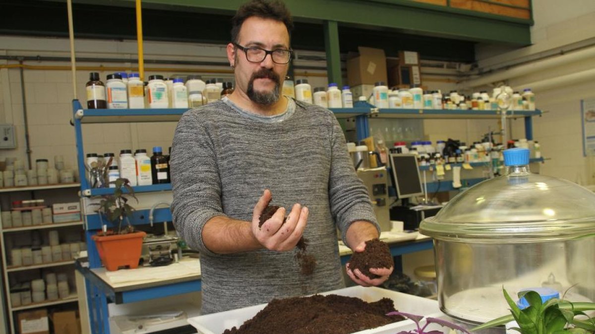 El responsable de agronomía del Itagra, Manuel Calvo, con una bandeja de compost en el laboratorio.-MANUEL BRÁGIMO