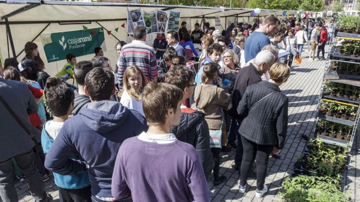 Los escolares expusieron sus productos para la venta en el parque de los Poetas de la capital burgalesa.-SANTI OTERO