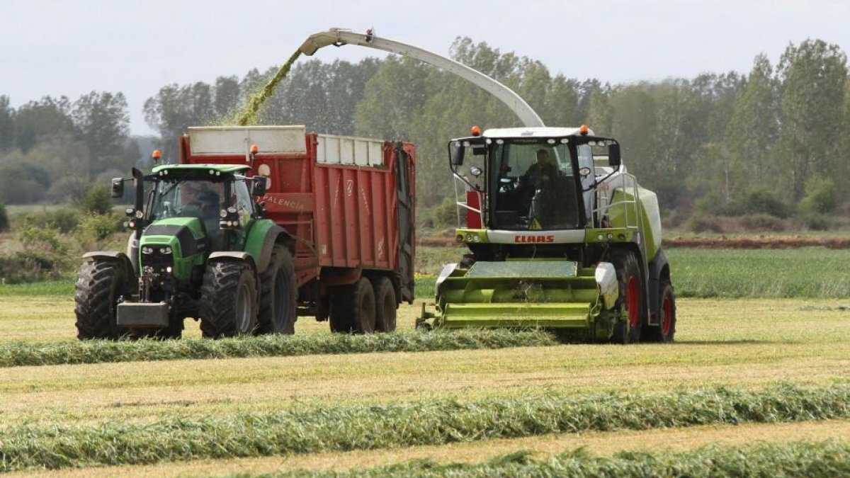 Un agricultor realiza labores de cosecha de forrajes en Palencia.-BRÁGIMO