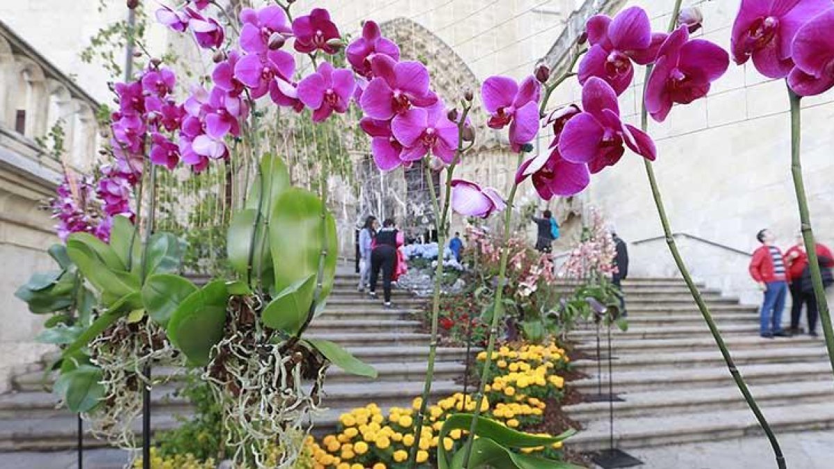 La escalinata de la Catedral, en la portada del Sarmental, será uno de los lugares más fotografiados este fin de semana.-RAÚL G. OCHOA