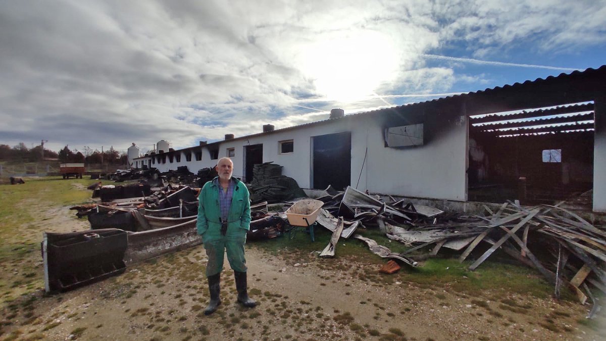 Juan Saiz en su explotación de ganado porcino en la localidad burgalesa de Santo Domingo de Silos. ECB