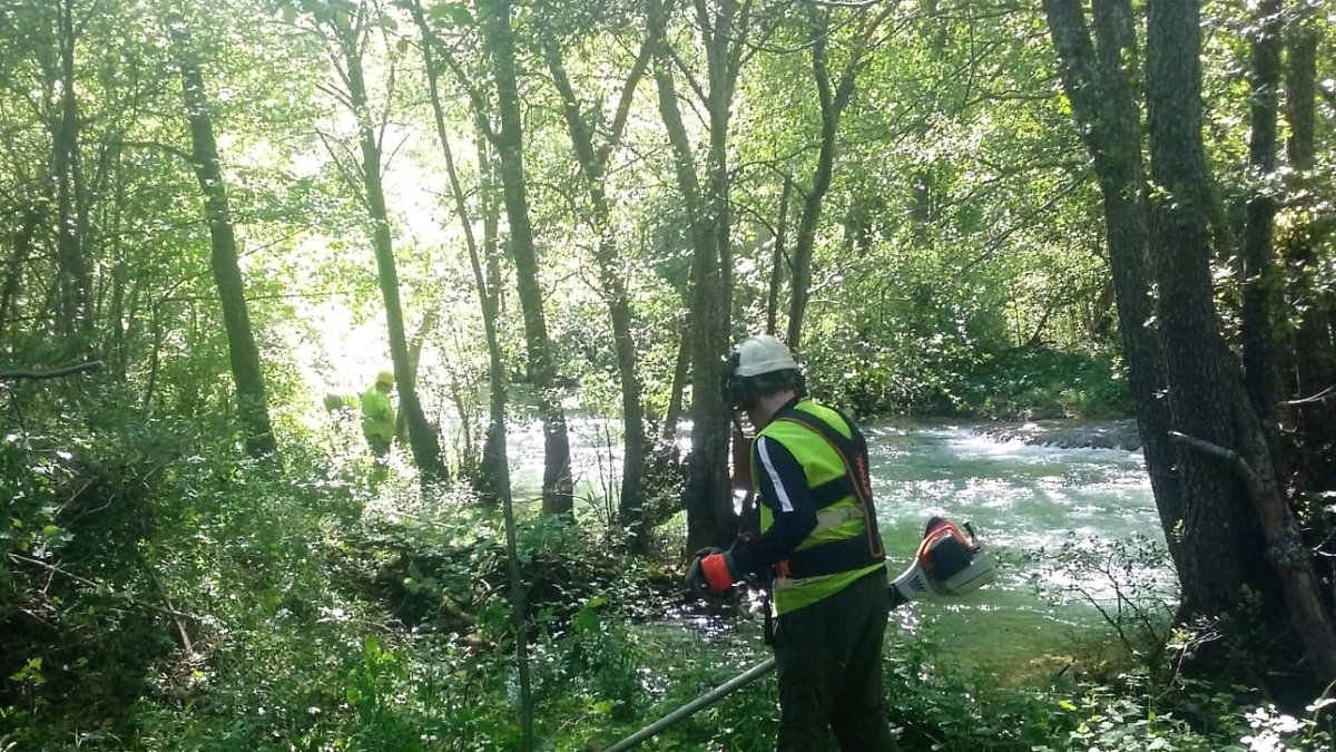 Trabajos de recuperación del río Rudrón. ECB