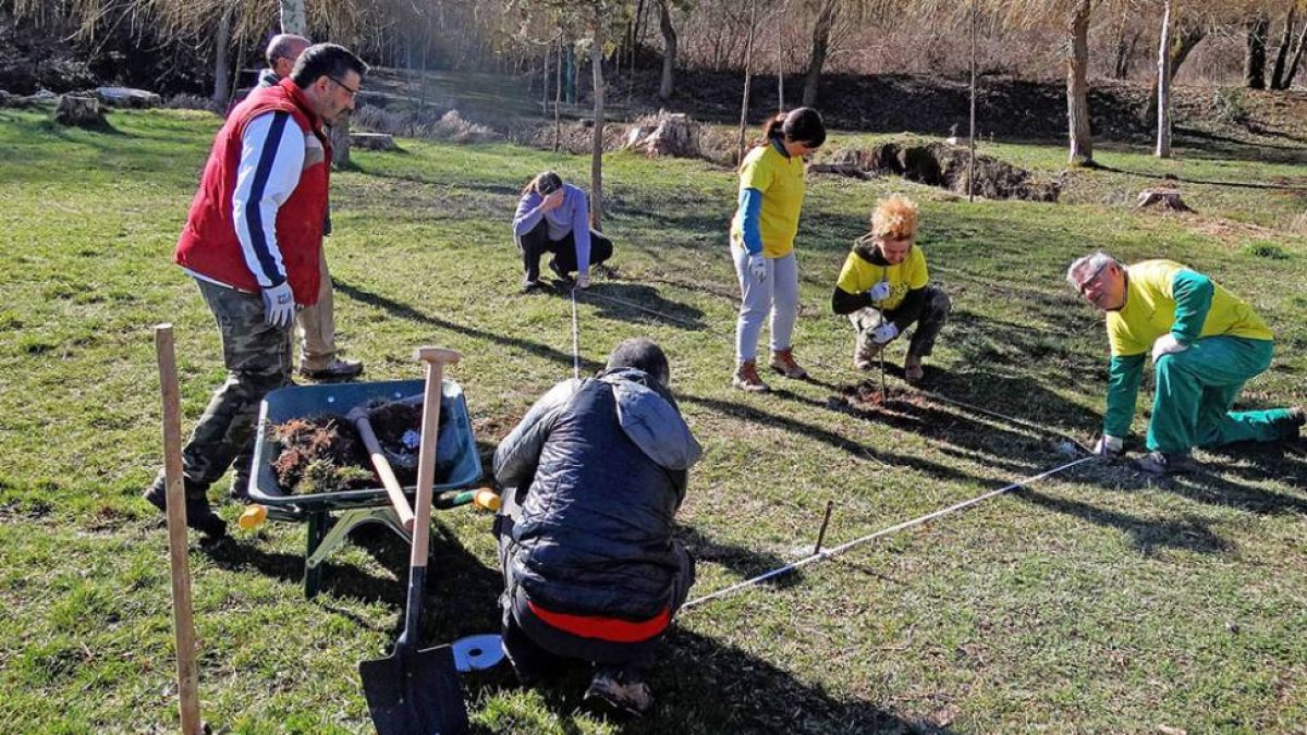 Durante las acciones de voluntariado se aprenden otros aspectos de restauración ambiental.-ECB