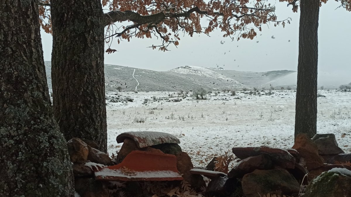 Campos nevados, ayer en Palacios de la Sierra. ESTIBALIZ LLORENTE