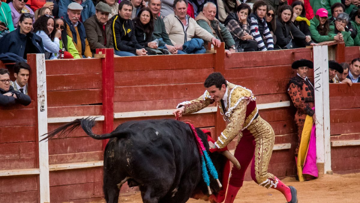 Herido grave el novillero Valent?n Hoyos en el festejo organizado con motivo del Carnaval del Toro.