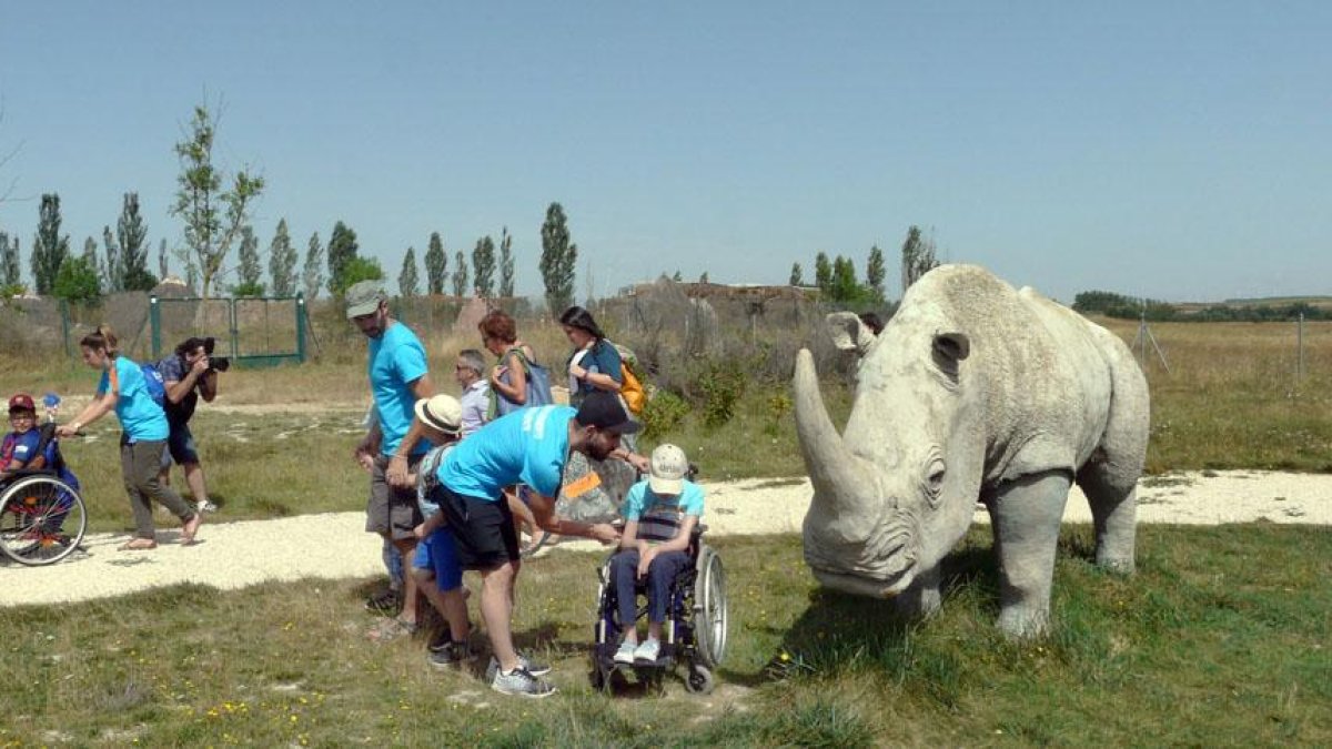 Varios niños disfrutan de uno de los campamentos inclusivos. ECB