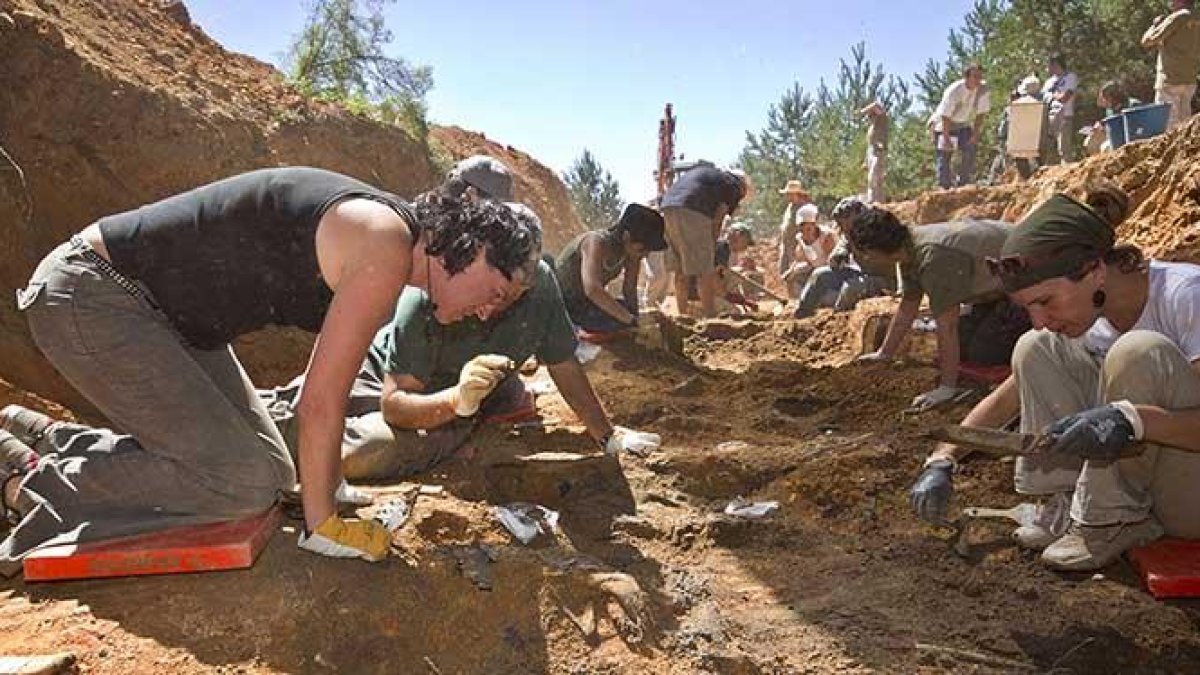 El equipo de Francisco Etxeberría, en 2010, trabajando  con sumo cuidado en la primera fosa que se abrió en La Pedraja en 2010 donde se encontraron los órganos preservados.-SANTI OTERO