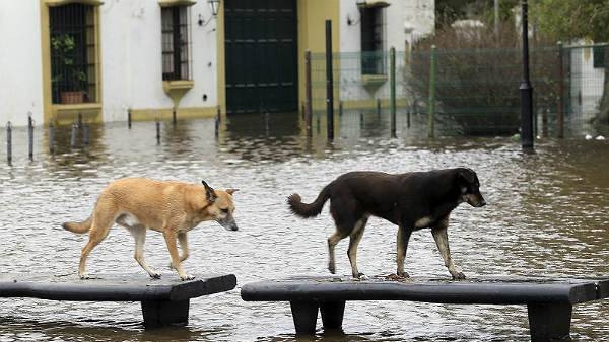 Argentina padece fuertes inundaciones.-AFP