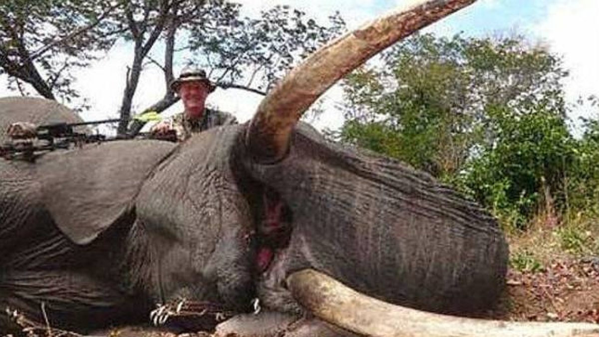 El doctor Jan Casmir Seski, con un elefante, en una imagen colgada en Facebook en septiembre del 2014.-Foto: GRIZZLY STIK FACEBOOK