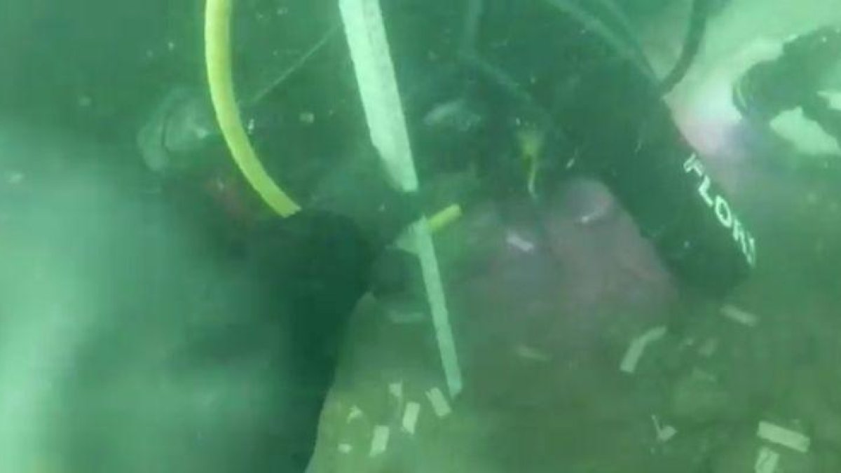 Imagen submarina en el Golfo de Mexico-EL PERIÓDICO