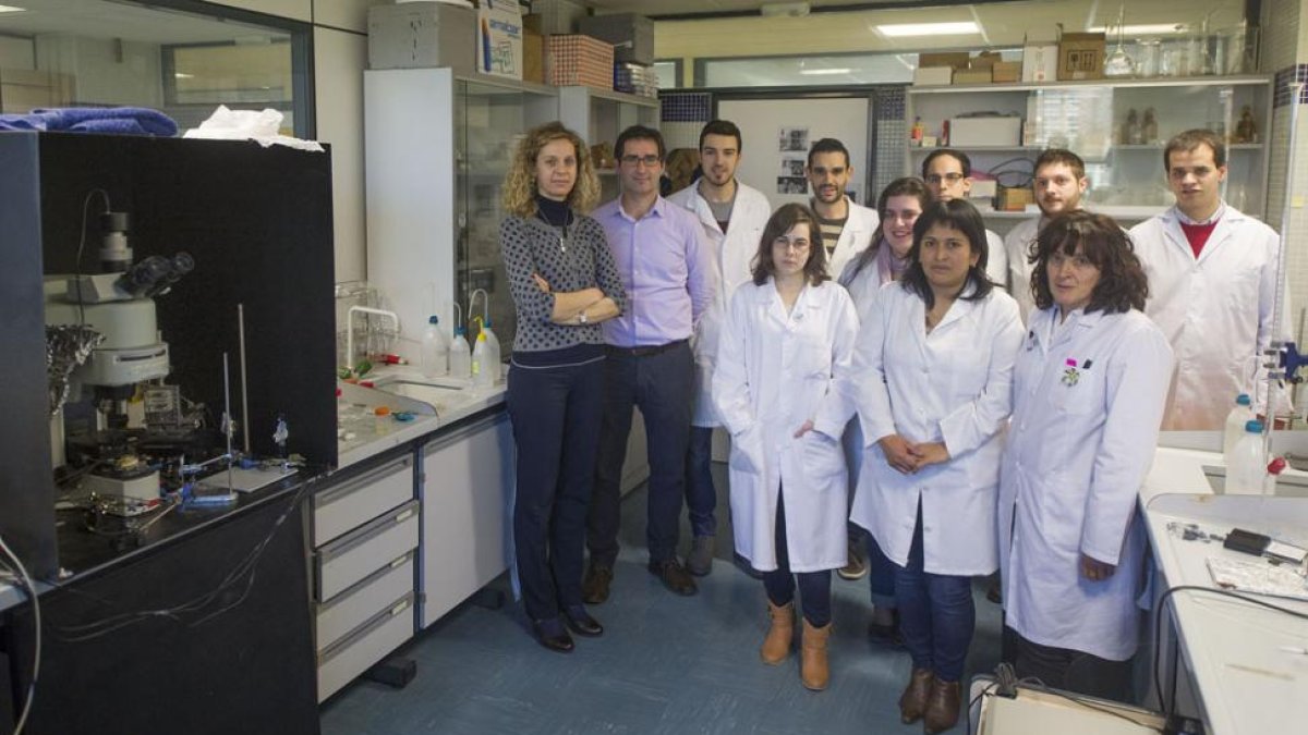 El grupo de investigación de Análisis Instrumental de la Universidad de Burgos posa en uno de los laboratorios de la Facultad de Ciencias.-ISRAEL L. MURILLO