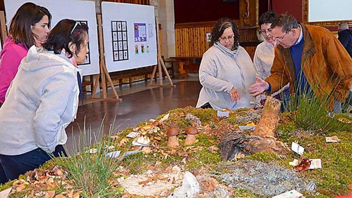 Exposición durante la segunda edición de las Jornadas Micológicas de Quintanar el año pasado.-R. F.