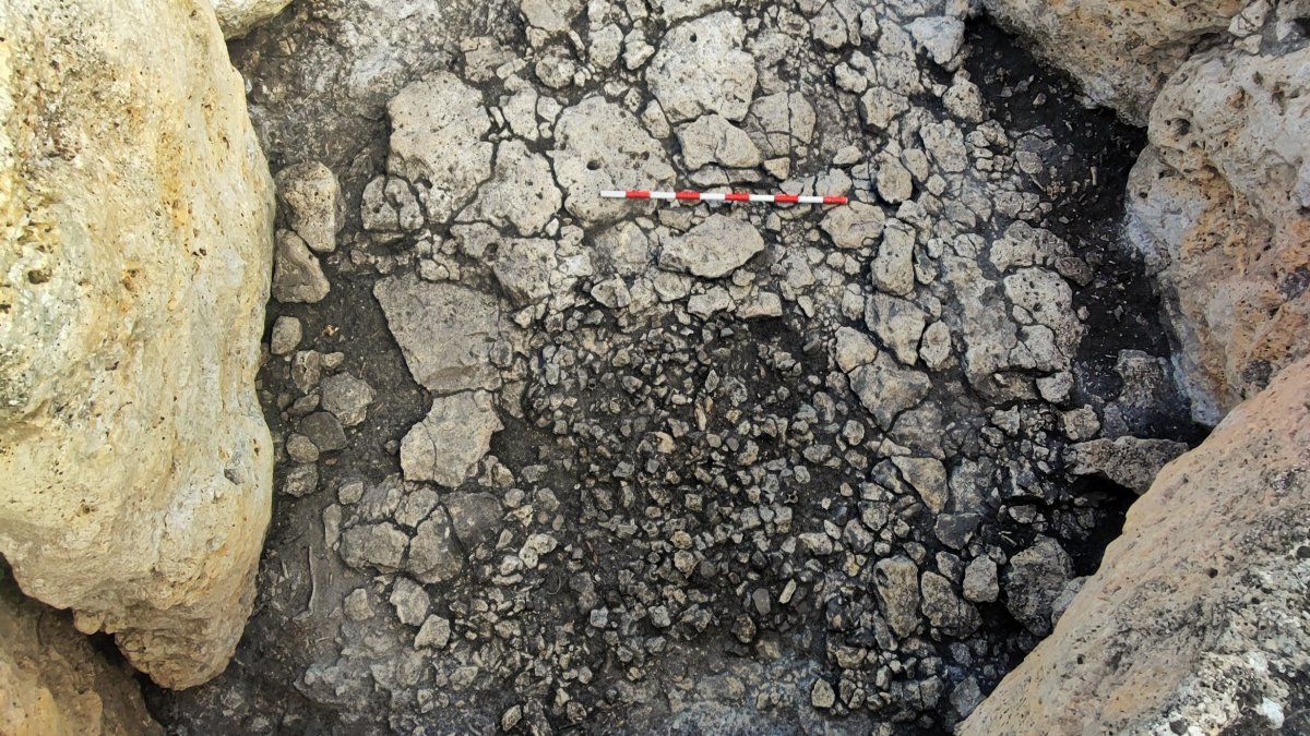 Nueva estructura tipo fosa documentada. ECB