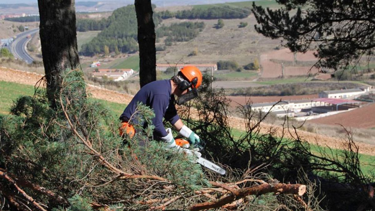 Uno de los trabajadores en las tareas que se han desarrollado en los últimos meses en el cerro de San Miguel.-ECB