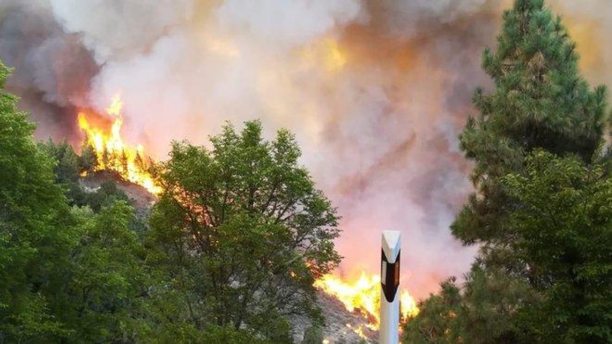 -