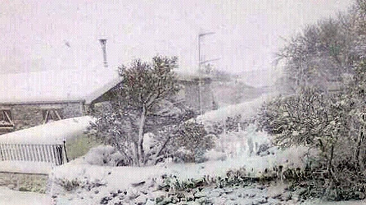 La nieve tapó el trazado de la carretera de Sargentes de la Lora durante días.-ECB