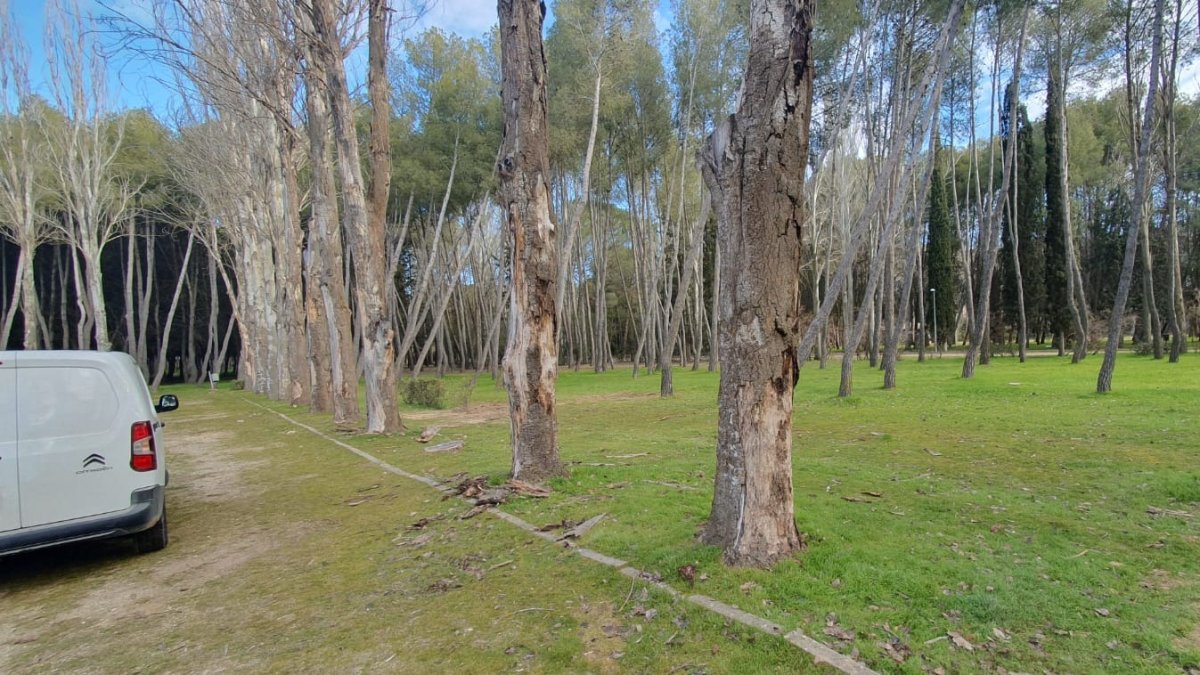 Parque General Gutiérrez de Aranda