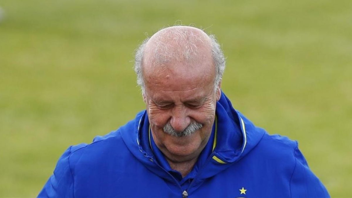 Vicente Del Bosque, en un entrenamiento de España.-AP