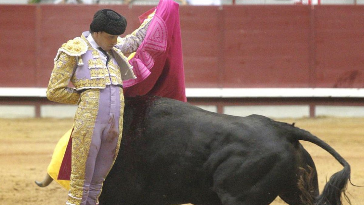 El peruano Roca Rey, uno de los grandes alicientes del abono ribereño.-ECB