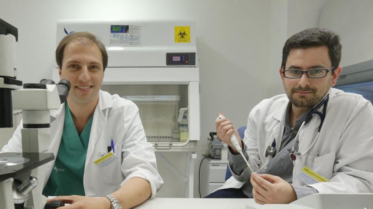 Los doctores José Ángel Pérez Rivera y Daniel Al Kassam Martínez, en el laboratorio.-ISRAEL L. MURILLO