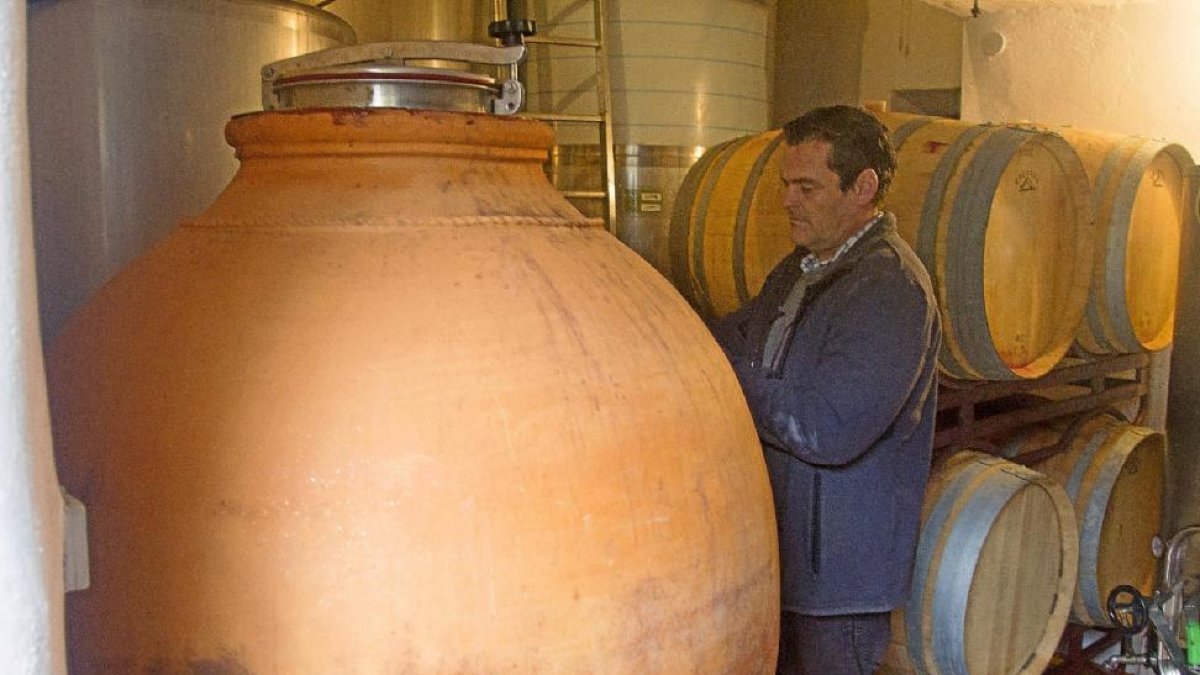 Patxi Martínez junto a la tinaja de barro en la que elaboran los vinos de Arribes.-M. DENEIVA