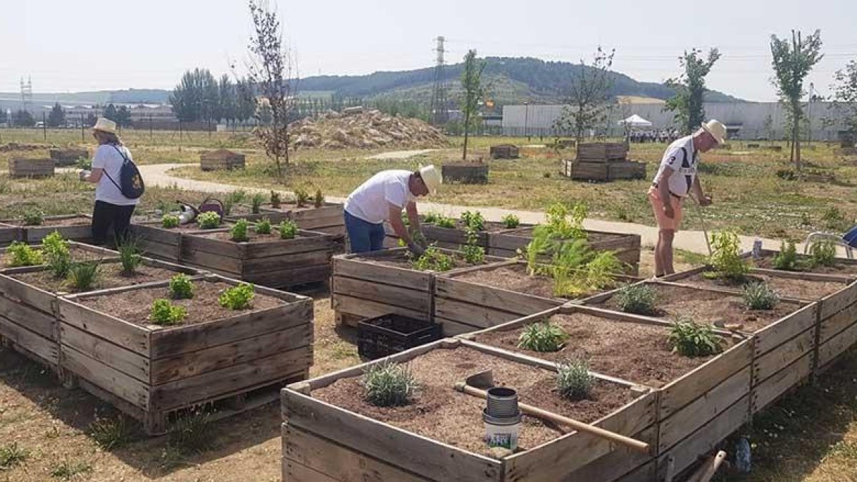 Un grupo de voluntarios realiza labores de jardinería.-ECB
